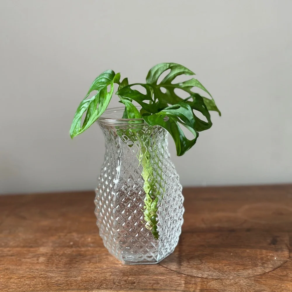 Vintage elegant clear